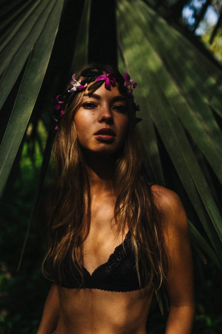 Nullam at tellus vehicula