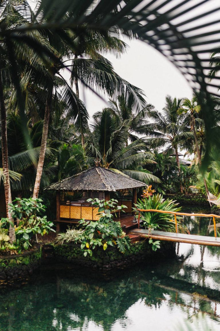 Quisque turpis arcu congue in